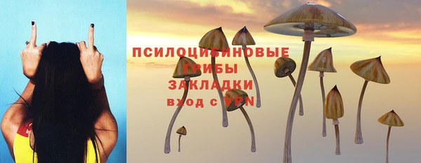 2c-b Арсеньев