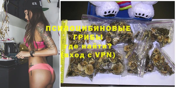 индика Армянск