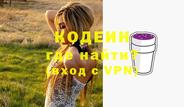 индика Армянск