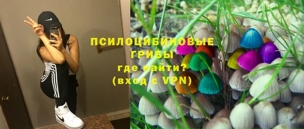 индика Армянск