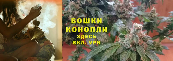 ПСИЛОЦИБИНОВЫЕ ГРИБЫ Покров